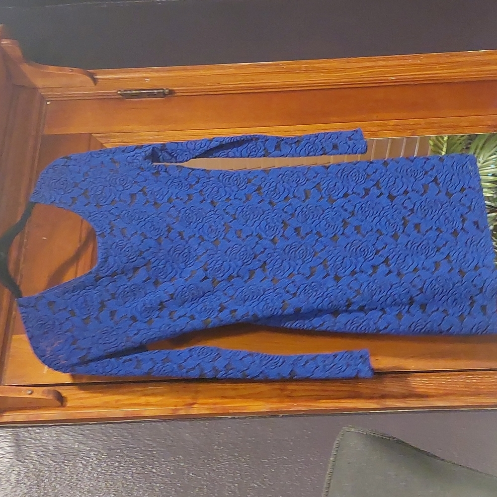 Paper Crane Blue Rose Dress